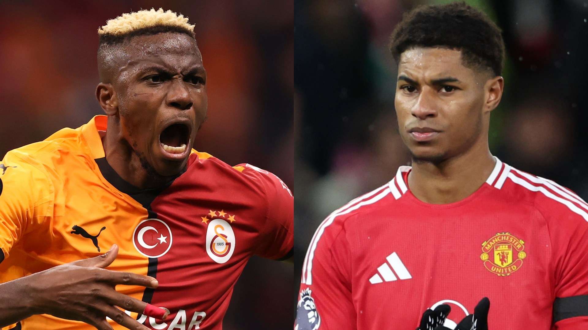 要在冬窗引 要在冬窗引